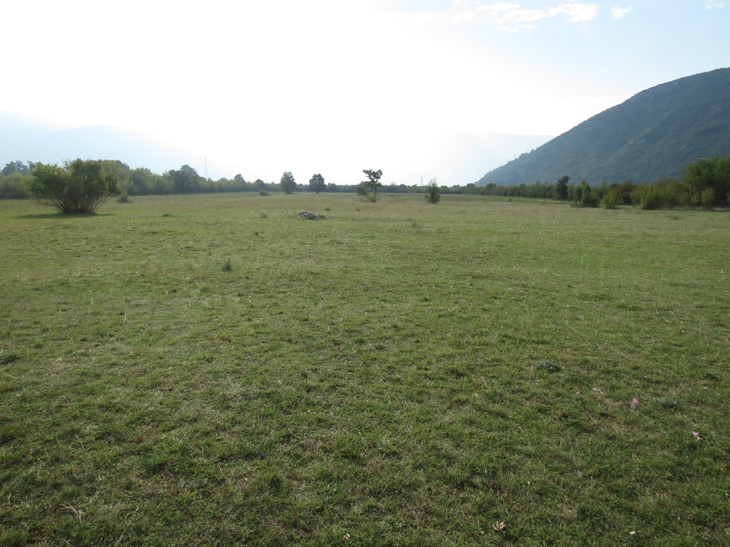 POLJOPRIVREDNO ZEMLJISTE, Zeljusa, 8400m2