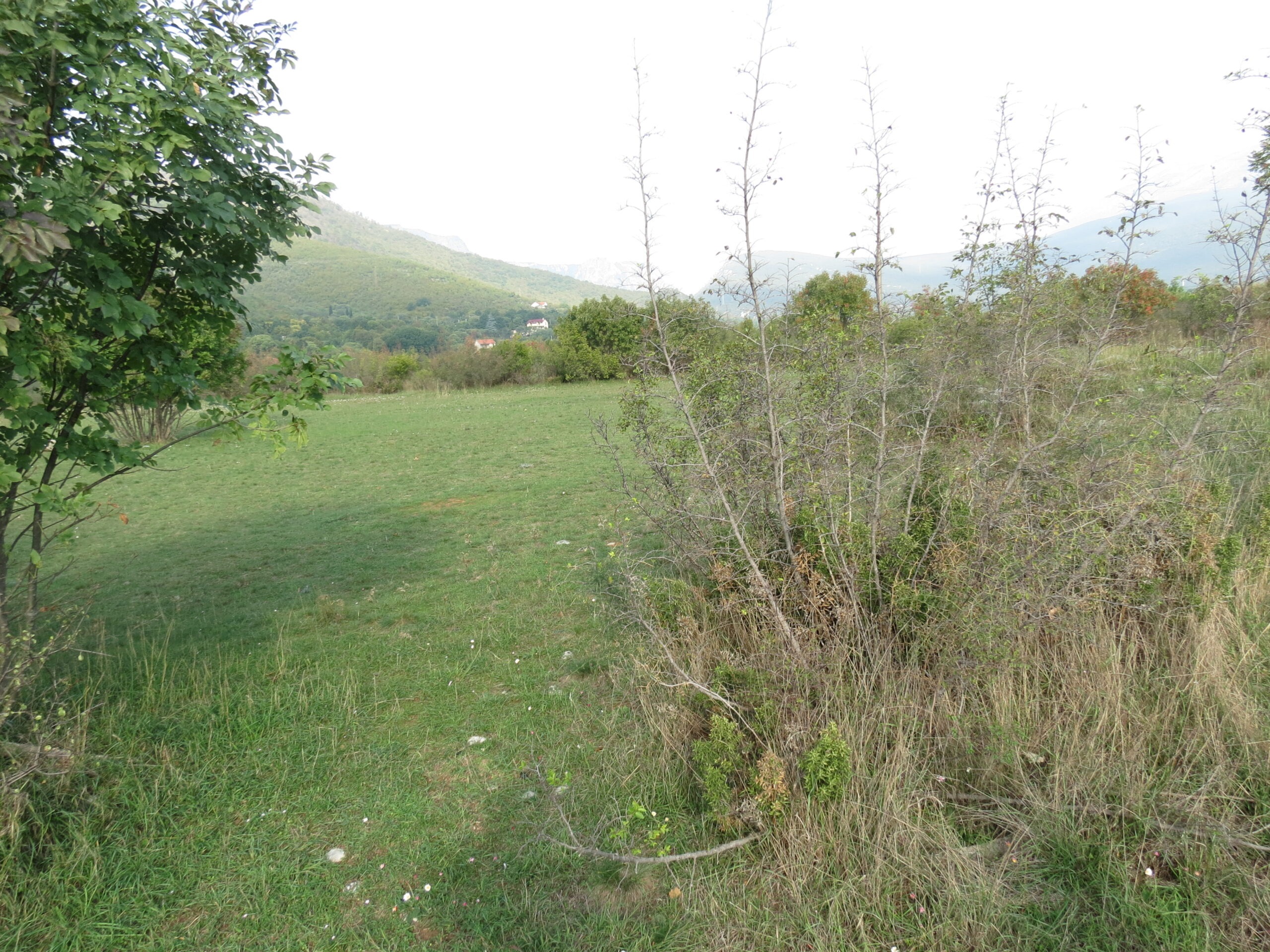 Fotografija 3